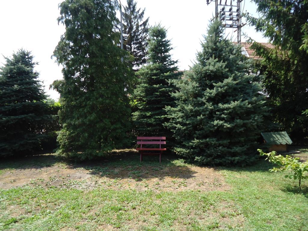Prenociste Vila Stara Breza Palić Exteriér fotografie